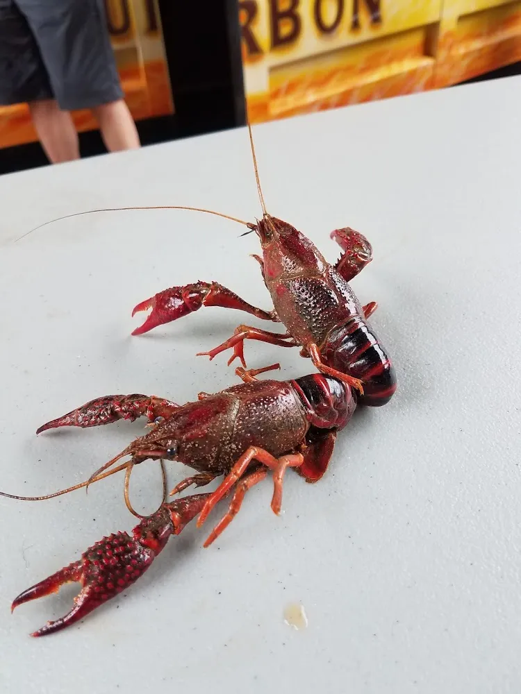 Crawfish Boil